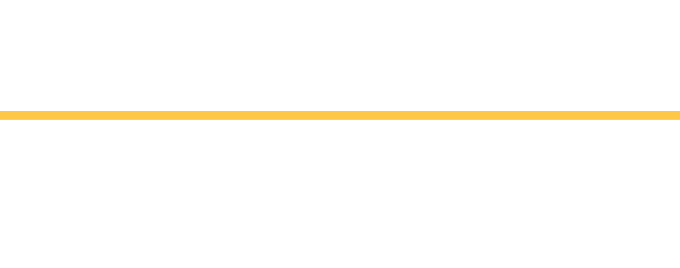 Birnie Bus Service Logo